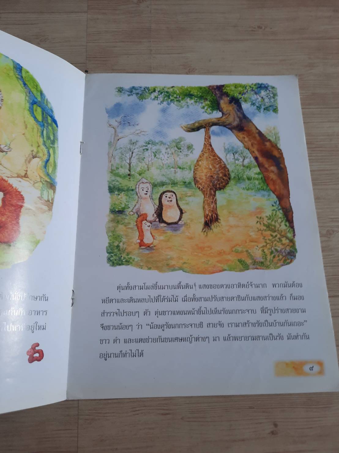 ฝันริมน้ำ วิภา ตัณฑุลพงษ์ เรื่อง กลุ่มต้นข้าว ภาพ