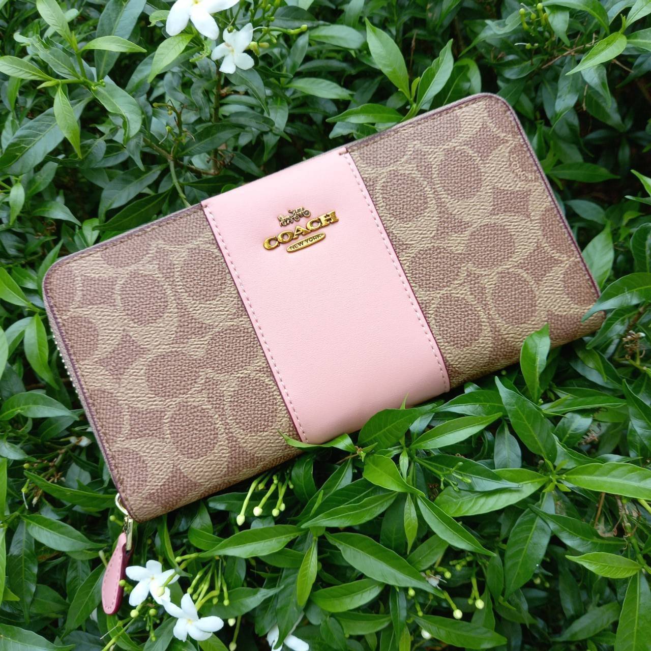 มาเท่าไหรก็ไม่เคยพอจริงๆ มีความต้องการกันถึงขีดสุด❣️😘>>COACH ACCORDION ZIP WALLET IN COLORBLOCK SIGNATURE CANVAS (COACH 31546)🍁กระเป๋าสตางค์ใบยาว ซิปรอบ //วัสดุหนังแคนวาสสลับหนังแท้ ดีไซน์สวย โดดเด่นลงตัวเป็นที่สุด ด้านในมีช่อ