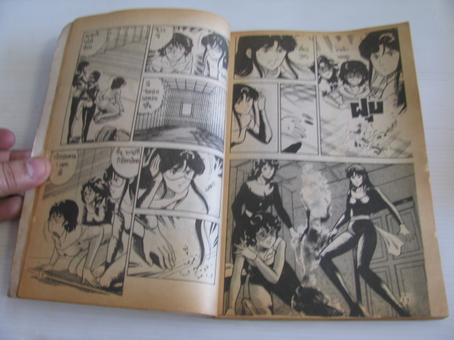 พยัคฆ์สาวแคทอายส์ เล่มเดียวจบ