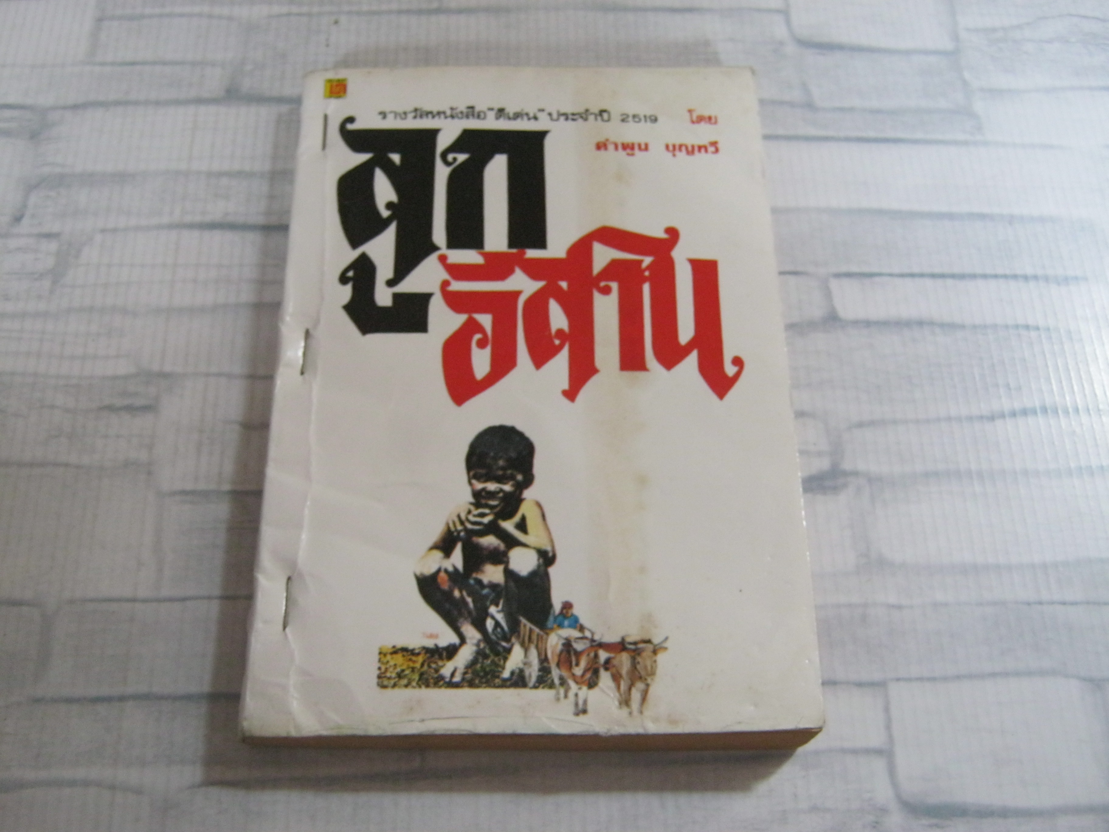 ลูกอีสาน คำพูน บุญทวี เขียน***สินค้าหมด***