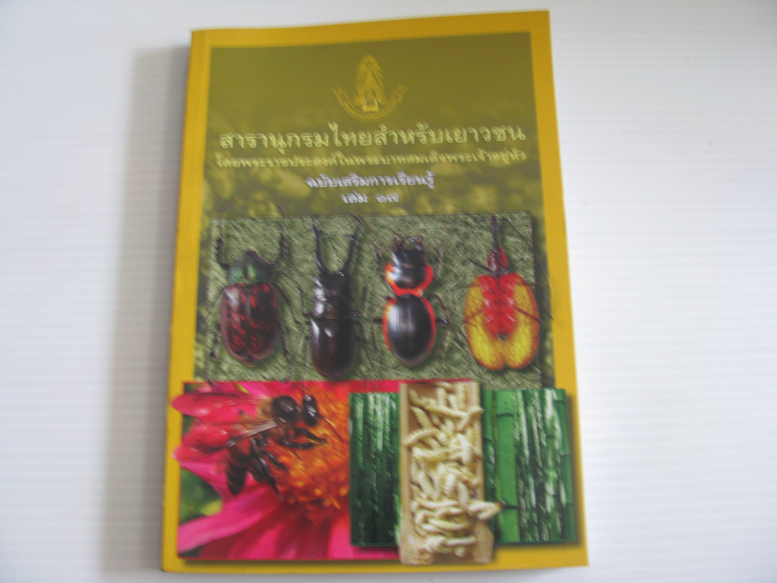 สารานุกรมไทยสำหรับเยาวชน โดยพระราชประสงค์ในพระบาทสมเด็จพระเจ้าอยู่หัว ฉบับเสริมการเรียนรู้ เล่ม ๑๗ (แมลง ผึ้ง แมลงกินได้)***สินค้าหมด***