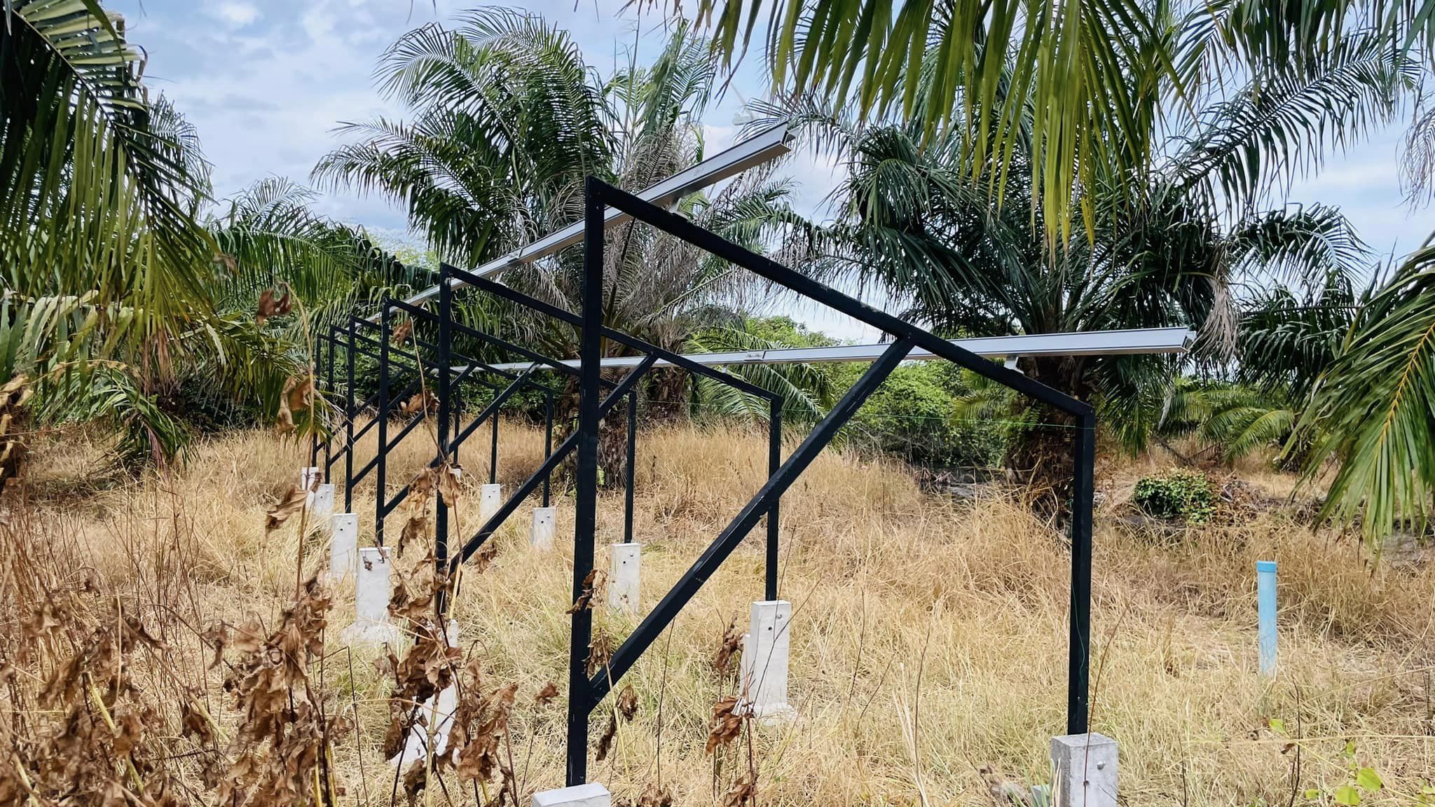 ชุดซัมเมิสปั้มบาดาล ขนาด 3 แรงม้า สวนปาล์มน้ำมัน