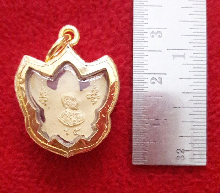 จี้พญาครุฑหลังเสด็จพ่อร.5องค์เล็กเนื้อสามกษัตริย์เลี่ยมทองไมครอนพร้อมใบคาถาค่ะ