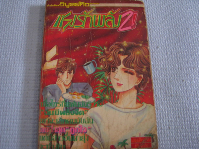 แรงรักพล้ง 2 ! เล่มเดียวจบ
