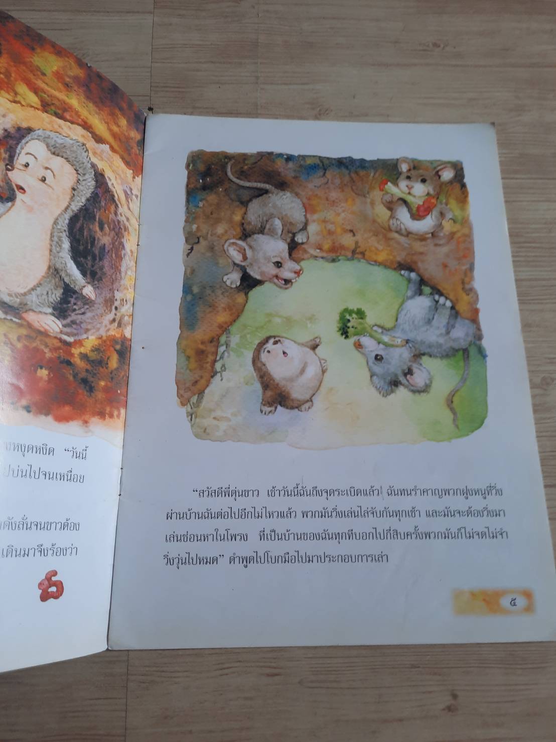 ฝันริมน้ำ วิภา ตัณฑุลพงษ์ เรื่อง กลุ่มต้นข้าว ภาพ