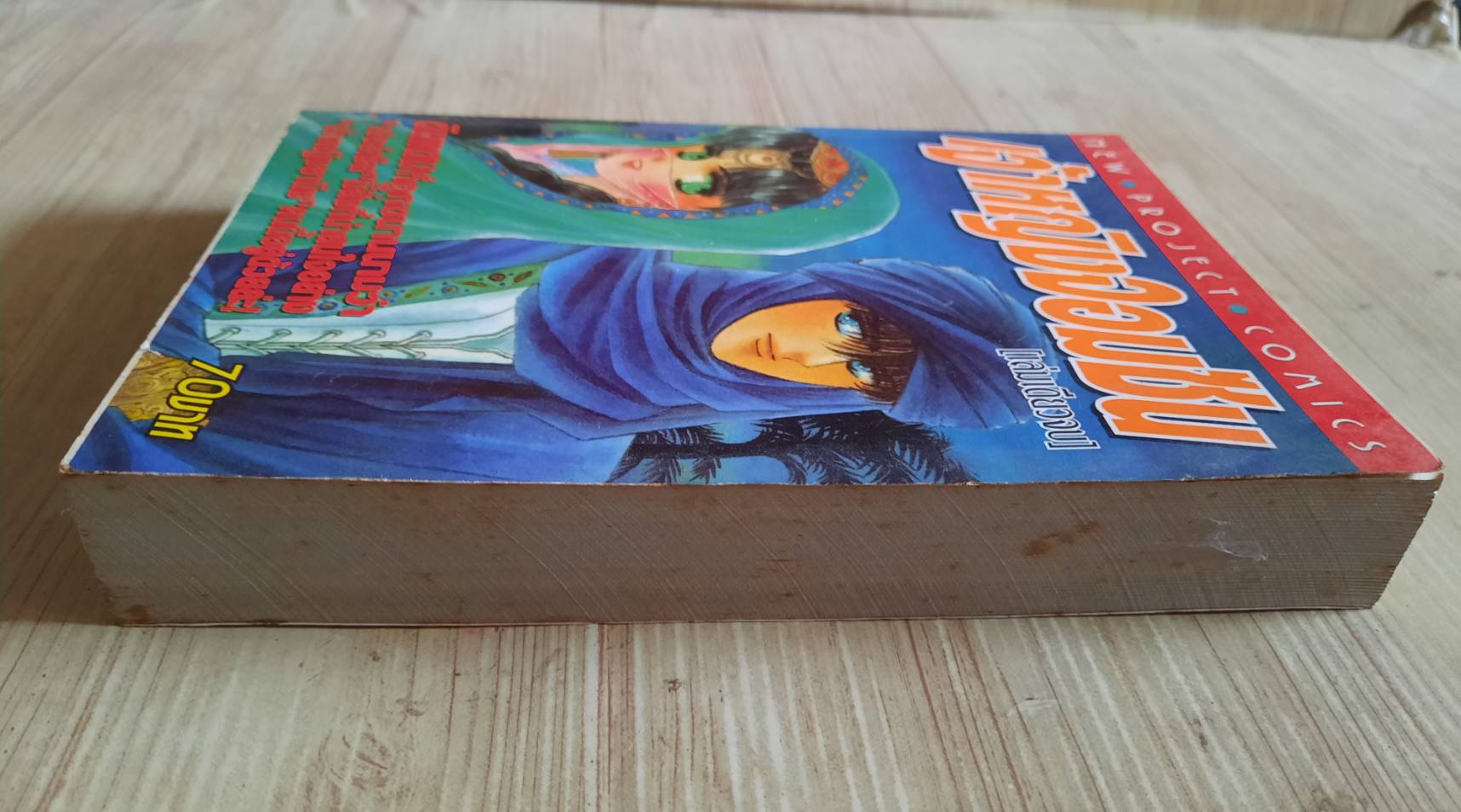 เจ้าหญิงจอมซน เล่มเดียวจบ