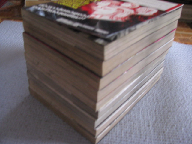 เรียกข้าว่าอีกา ภาค ZERO ครบชุด ( 9 เล่มจบ ) ฮิโรชิ ทาคาฮาชิ เขียน