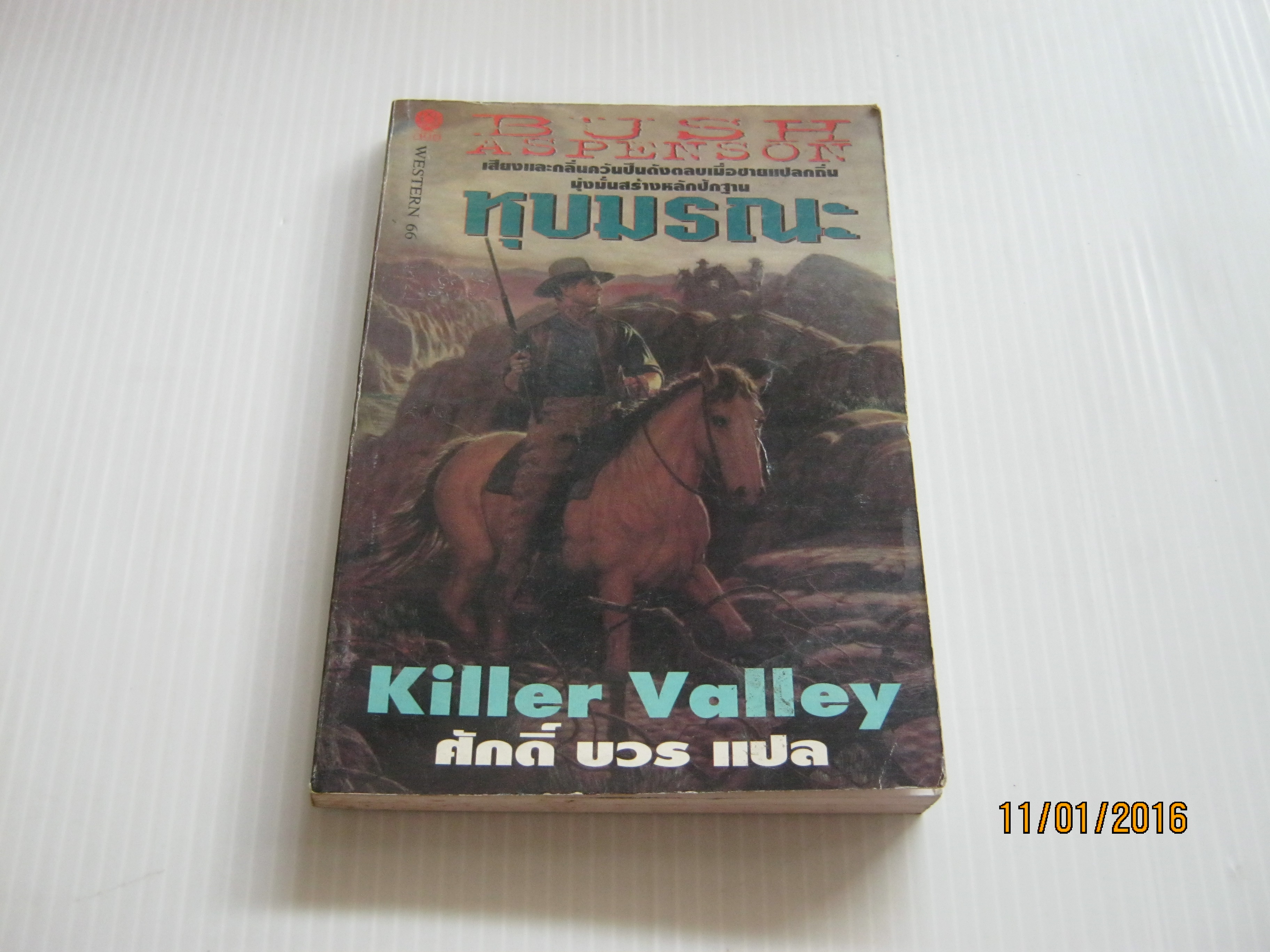 หุบมรณะ (Killer Valley) บุช แอสเพนสัน เขียน ศักดิ์ บวร แปล***สินค้าหมด***