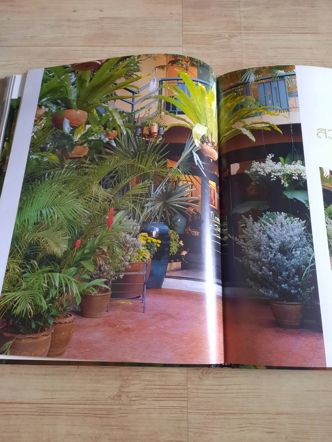 สวนในบ้าน เล่ม 12 สวนขนาดเล็ก พิมพ์ครั้งที่ 7 โดย กองบรรณาธิการสำนักพิมพ์บ้านและสวน