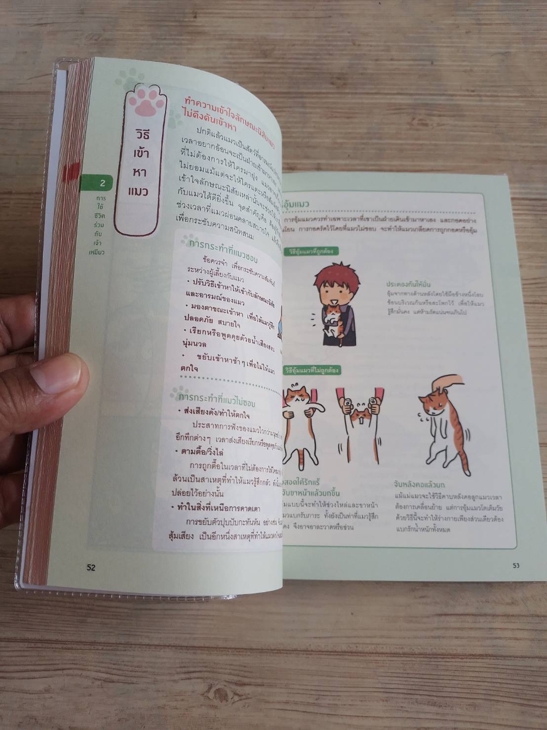 รู้ใจแมว อิโต มิทสึเอะและวาตานาเบะ เซโกะ เขียน มัทสึนางะ คิโยมิ ภาพ อนิษา เกมเผ่าพันธ์ แปล***สินค้าหมด***