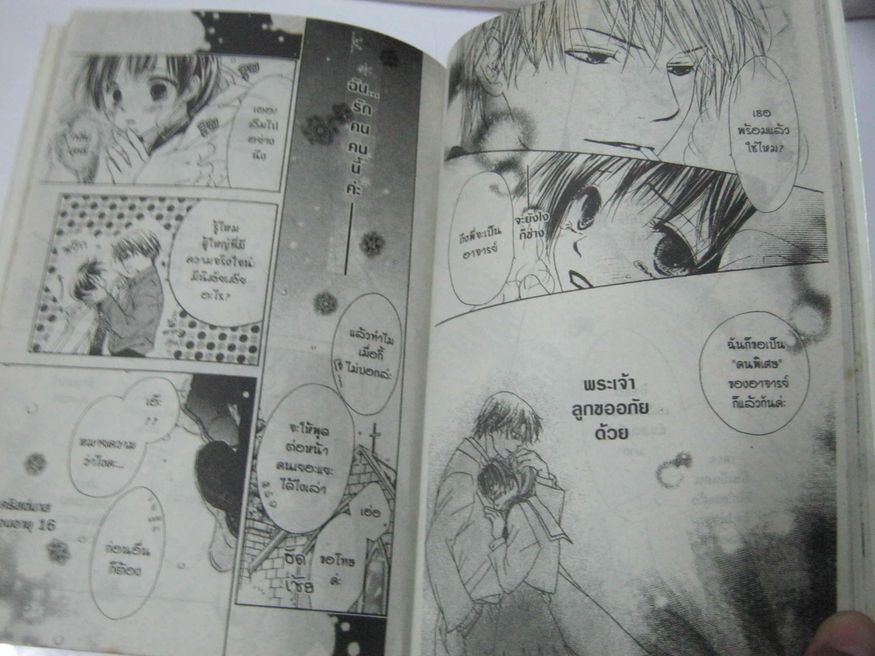 องค์หญิงอ่อนหัดโจรสลัดเจ้าเสน่ห์ เล่มเดียวจบ Lisaka Yukako เขียน