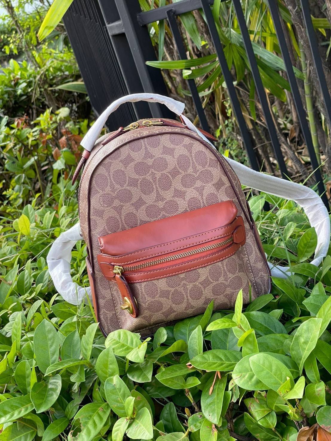 Coach Campus Backpack In Signature (Small) สาว ๆ คนไหนที่ชอบพกของเยอะและต้องการกระเป๋าที่ให้ความคล่องตัว ทะมัดทะแมง ใบนี้แนะนำเลยคะ ขนาดกำลังดี มีความหรูหราตามสไตล์ของ Coach ด้วยผ้าแคนวาสพิมพ์ลายเอกลักษณ์ของแบรนด์ มาพร้อมกับช่องซิปด้านหน้า เหมาะสำหรับจัดเ