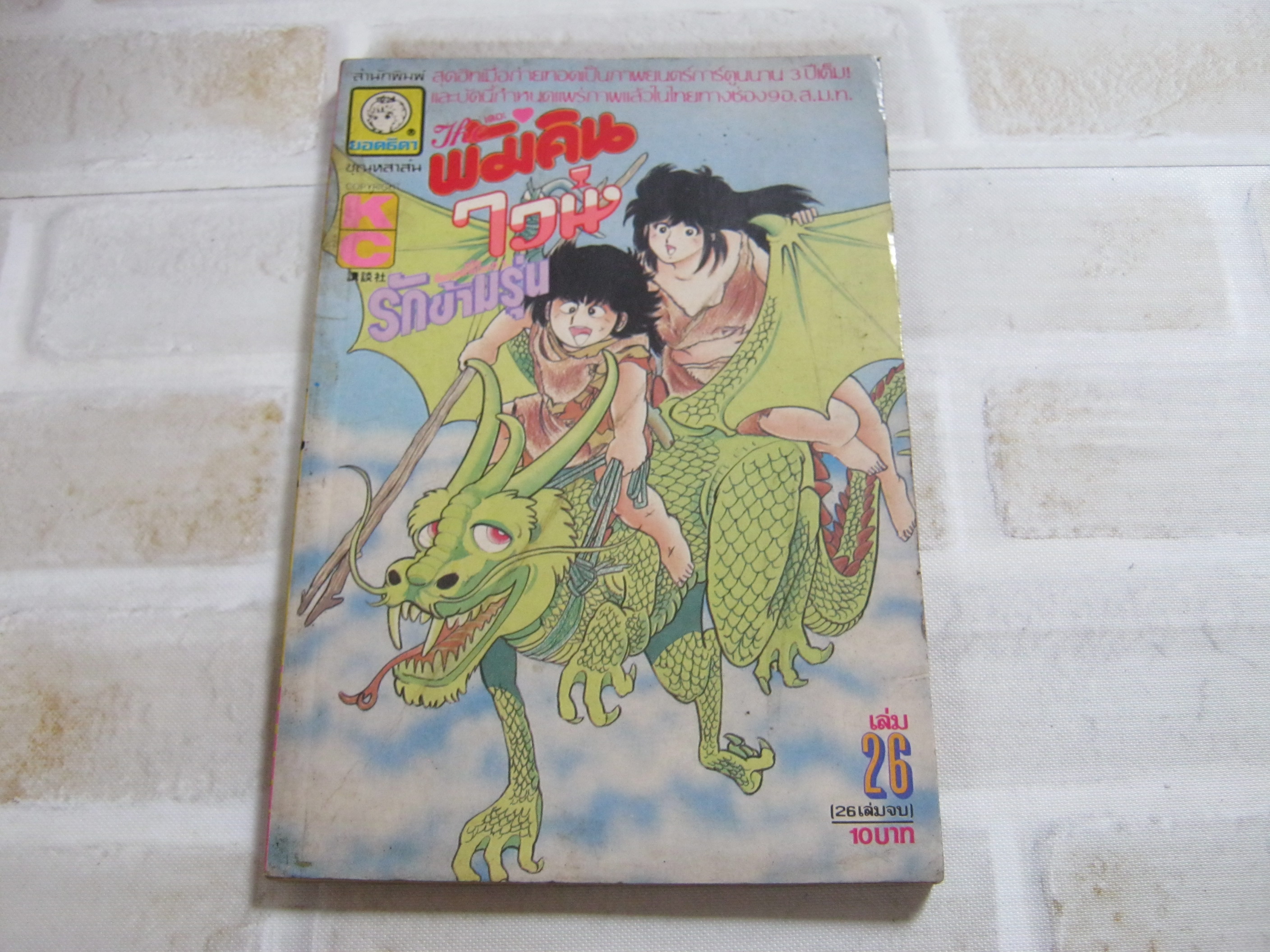 เดอะพัมคินไวน์ รักข้ามรุ่น ชุด เล่ม 1,2,9,11,12,13,14,15,18,19,20,21,22,23,24,25,26 ( 26 เล่มจบ ) ขาดเล่ม 3,4,5,6,7,8,10,16,17, ***สินค้าหมด***