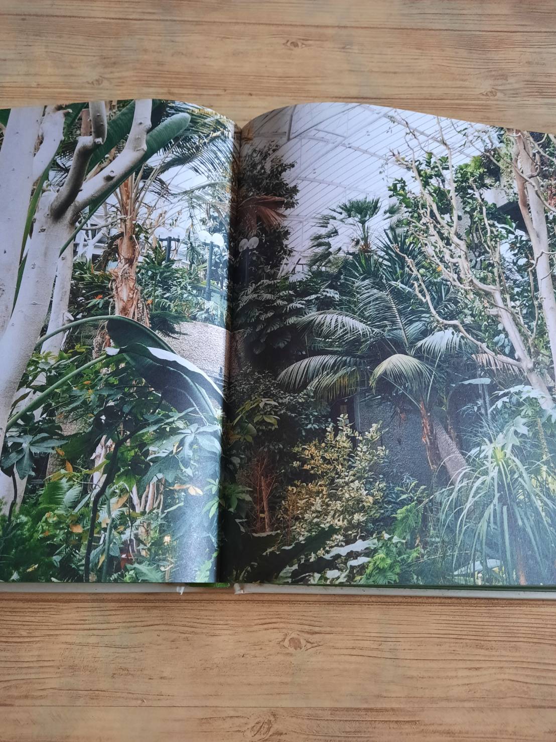 The Leaf Supply Guide to Greating Your Indoor Jungle By Lauren Comilleri + Sophia Kaplan (ปกแข็ง)