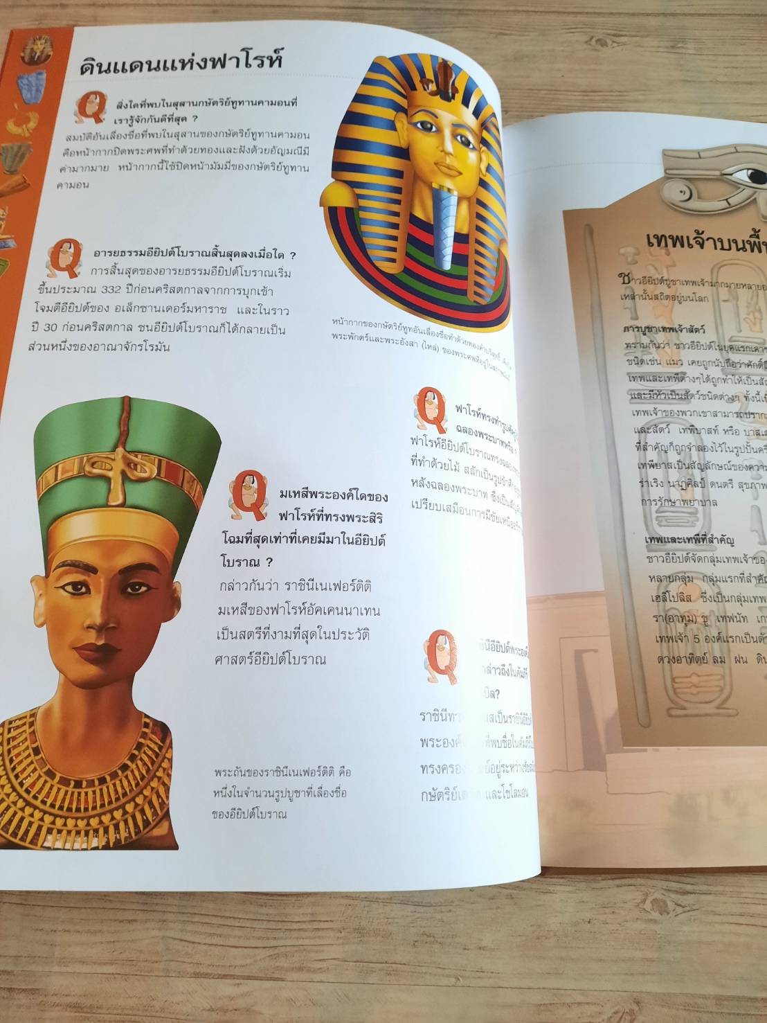 เปิดโลกเมืองโบราณอียิปต์ (Step Into The World of Ancient Egypt)***สินค้าหมด***