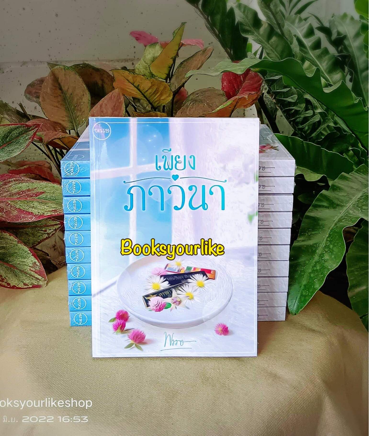 เพียงภาวนา,ผู้แต่ง,พรรษ,นิยายรักทำมือ สนุกแนะนำค่ะ