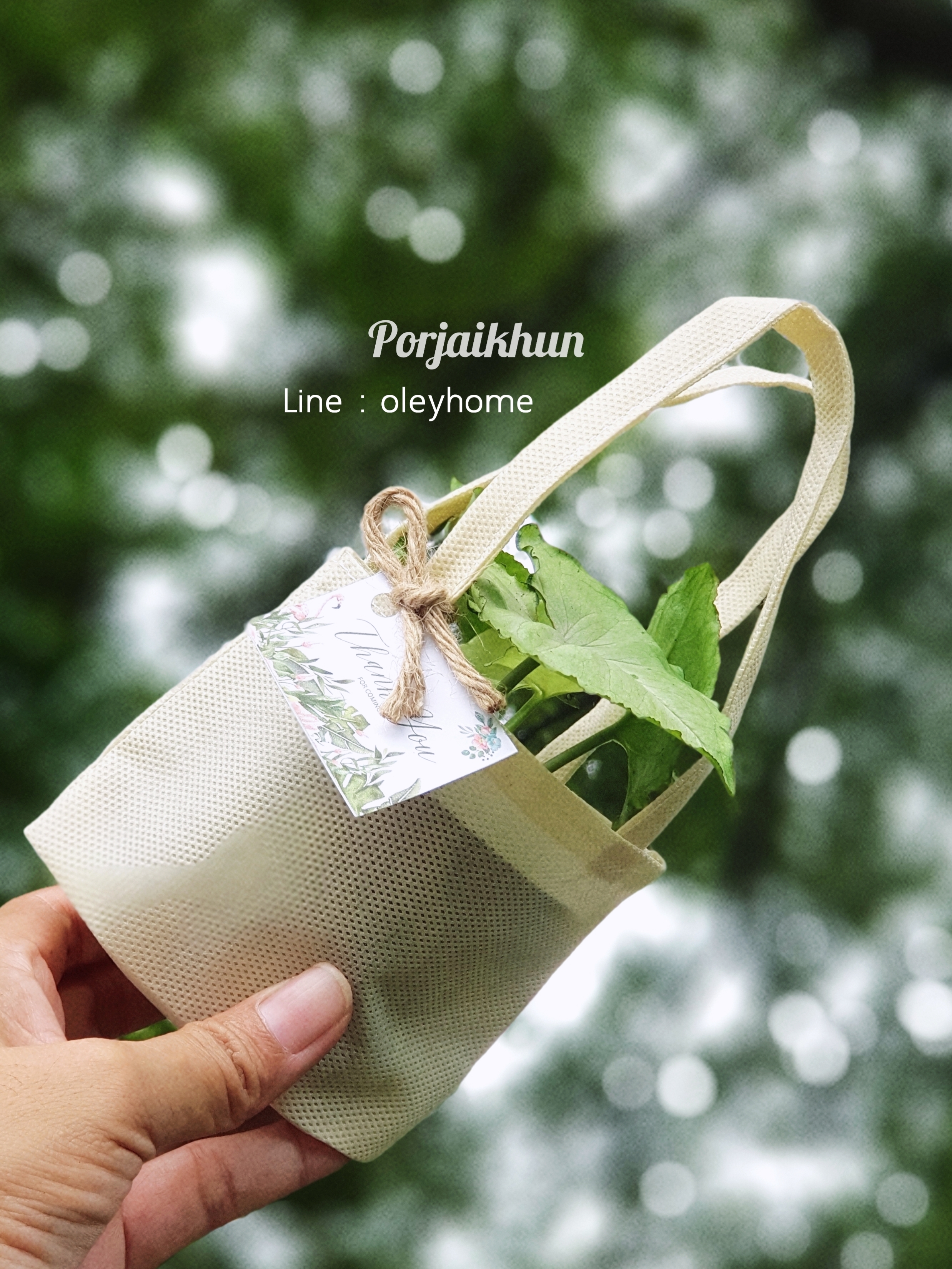 ต้นไม้มงคลในถุงผ้าโทนสีธรรมชาติ