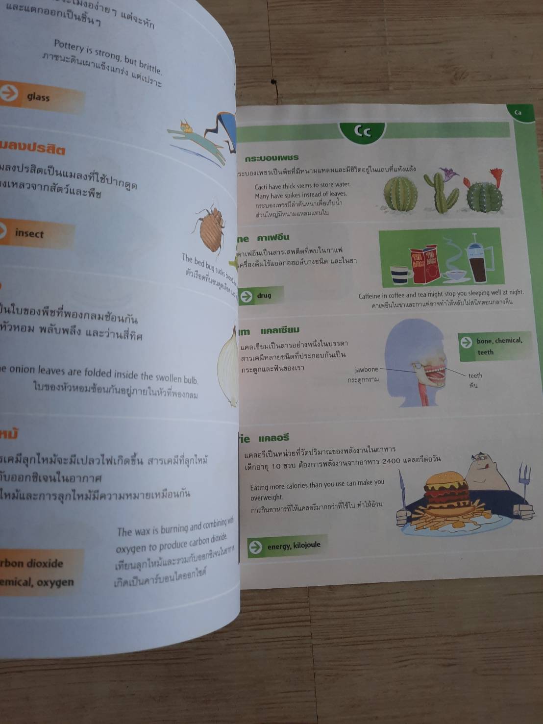 Primary Science Dictionary พจนานุกรมวิทยาศาสตร์สำหรับเด็ก ฉบับอังกฤษ-ไทย โดย Graham Peacock รศ.ดร.ประยงค์ พงษ์ทองเจริญ แปล (ตำหนิเป็นรอยน้ำ)***lbo8hks,f***