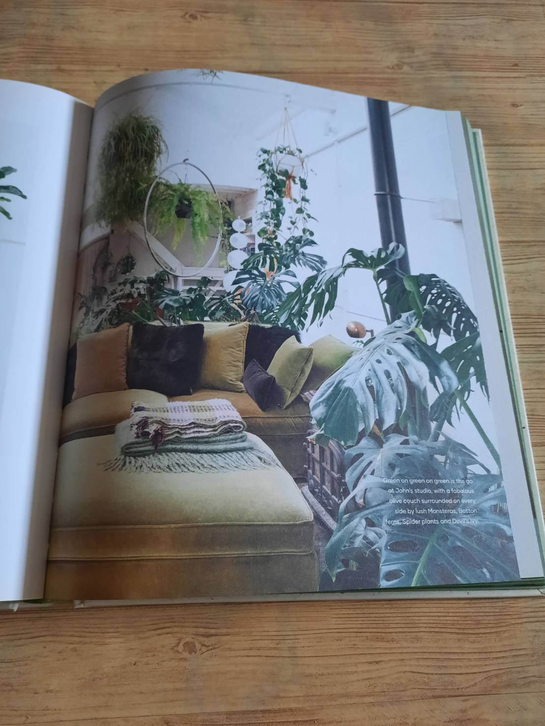 The Leaf Supply Guide to Greating Your Indoor Jungle By Lauren Comilleri + Sophia Kaplan (ปกแข็ง)