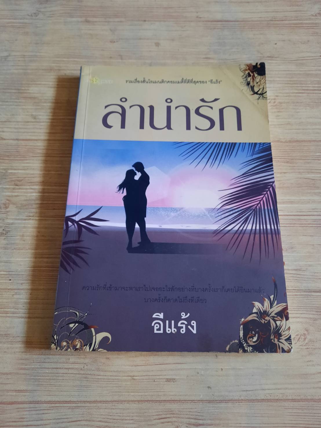 ลำนำรัก อีแร้ง เขียน