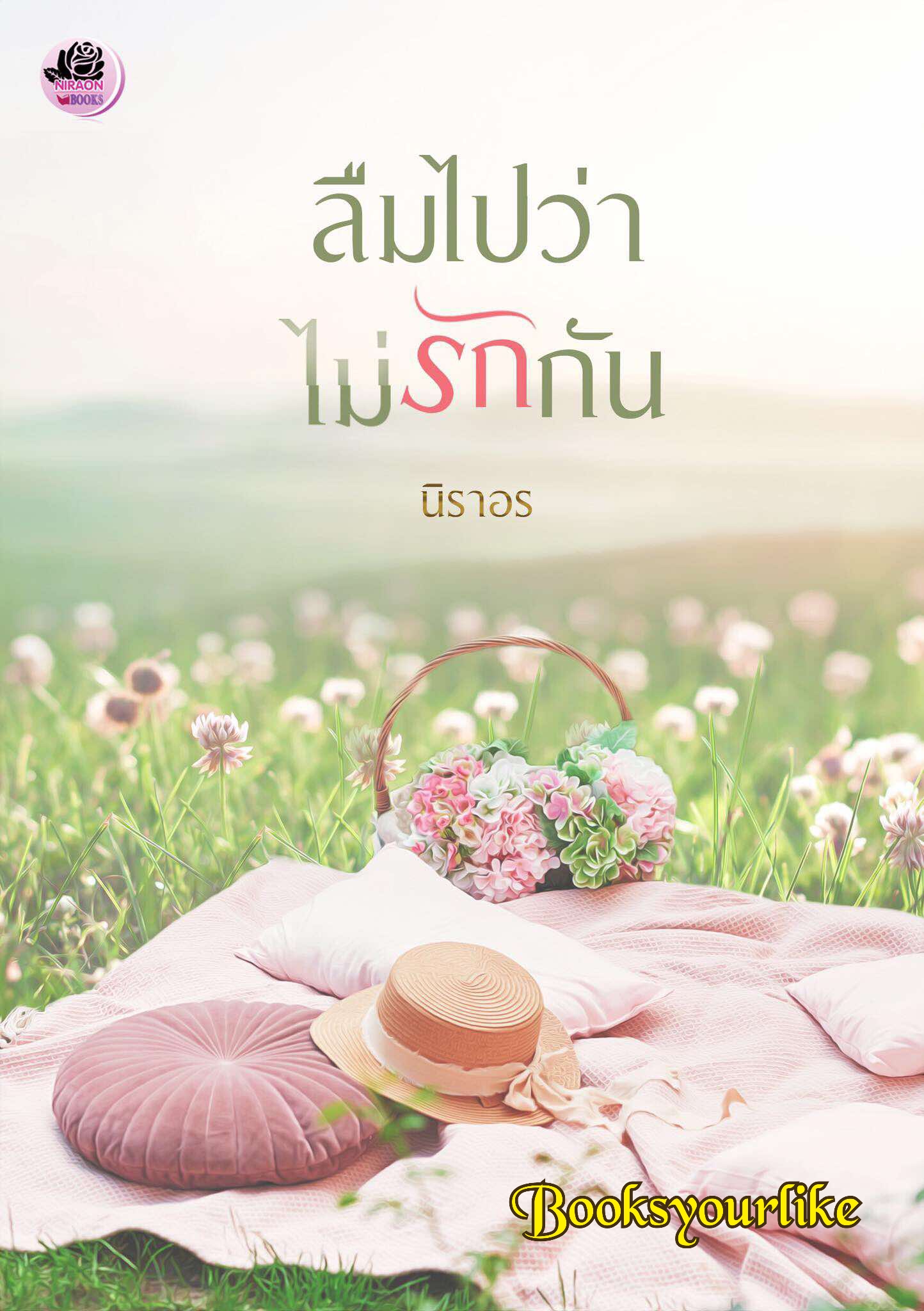 ลืมไปว่าไม่รักกัน,ผู้แต่ง,นิราอร,นิยายรักทำมือ แนะนำค่ะ