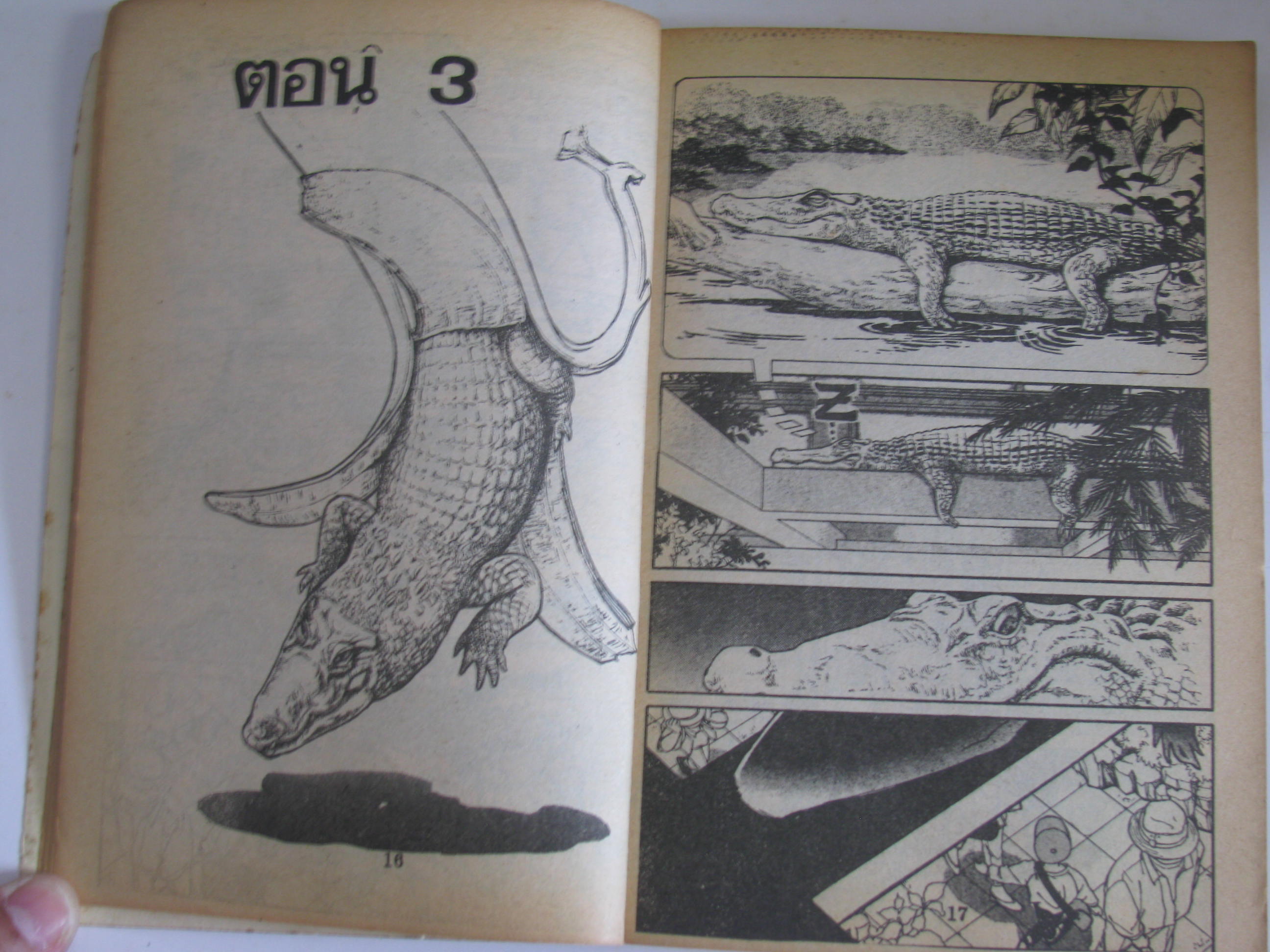 ตะโขงในดงกล้วย เล่มเดียวจบ***สินค้าหมด***