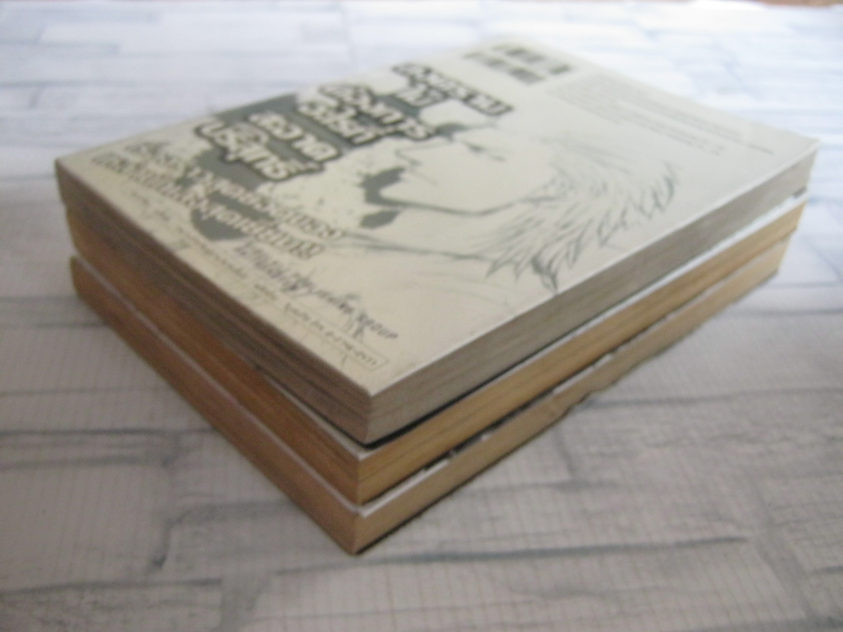 เรียกเขาว่าอีกา ZERO ชุด เล่่ม 1,2,3 Takahashi Hiroshi เขียน