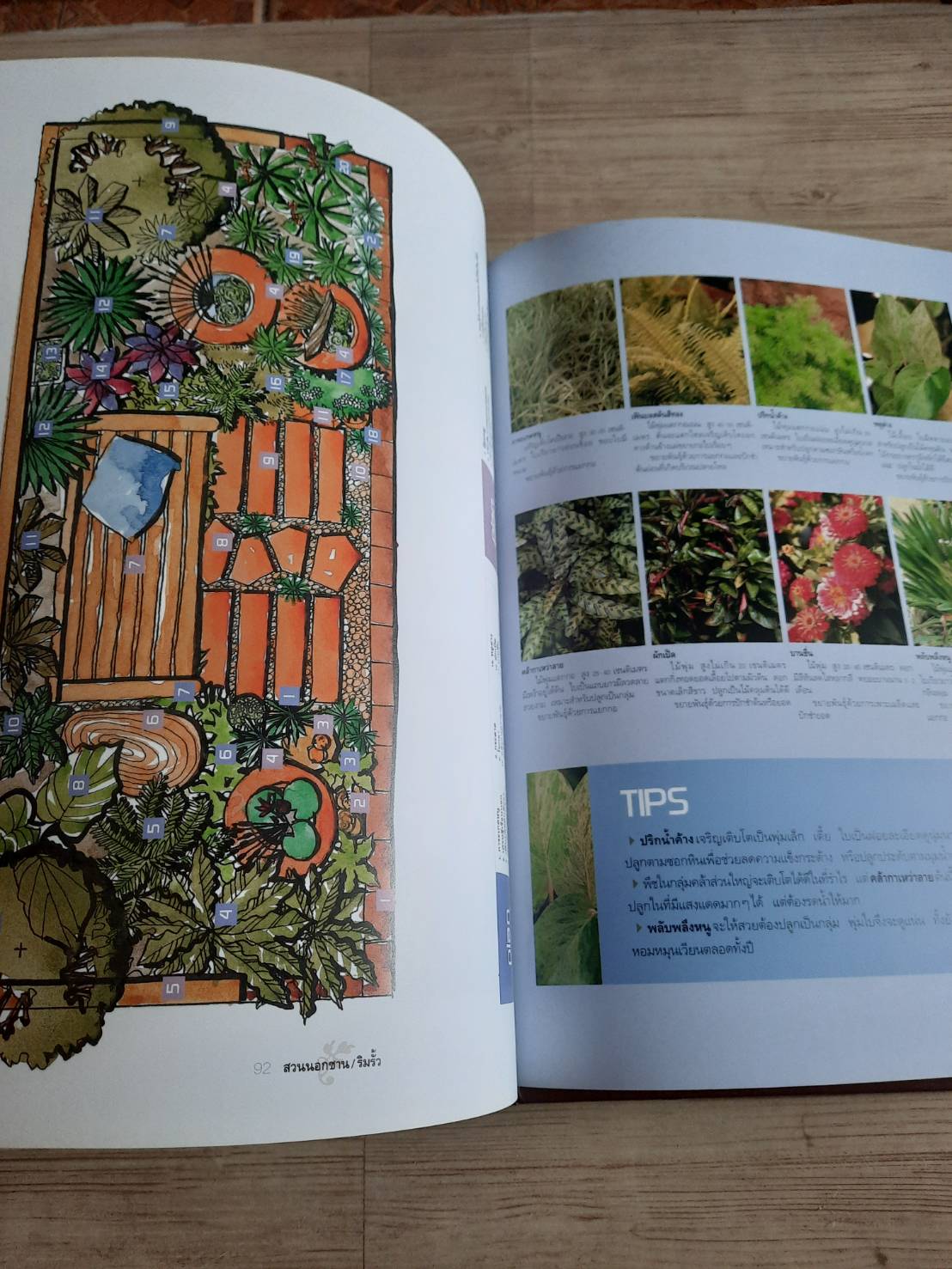 สวนในบ้าน เล่ม 17 สวนนอกชาน / ริมรั้ว พิมพ์ครั้งที่ 6 โดย กองบรรณาธิการสำนักพิมพ์บ้านและสวน