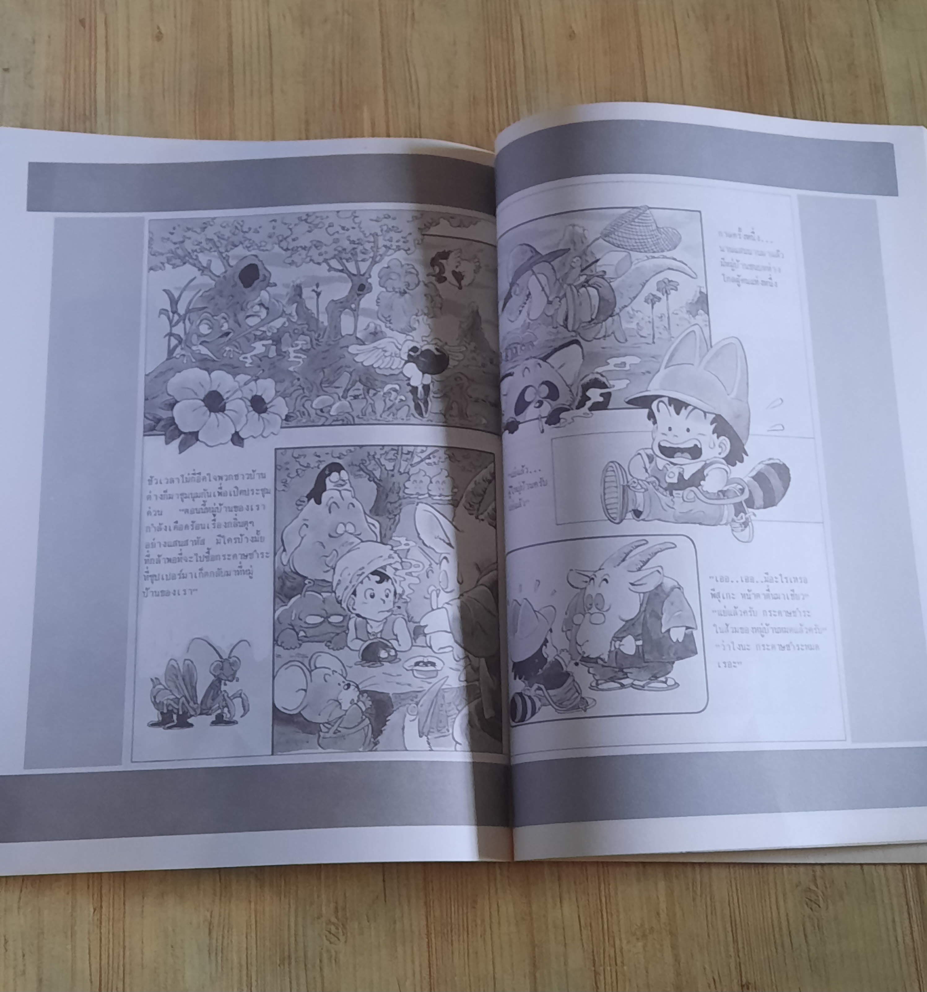 อัลบั้มภาพสีรวมผลงาน โทริยามะ อากิระ