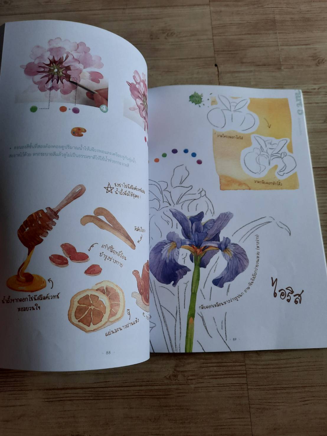 หนังสือหัดวาดสีน้ำเล่มแรกของฉัน เฟยเล่อเหนี่ยว เขียน ณิชา แปล***สินค้าหมด***