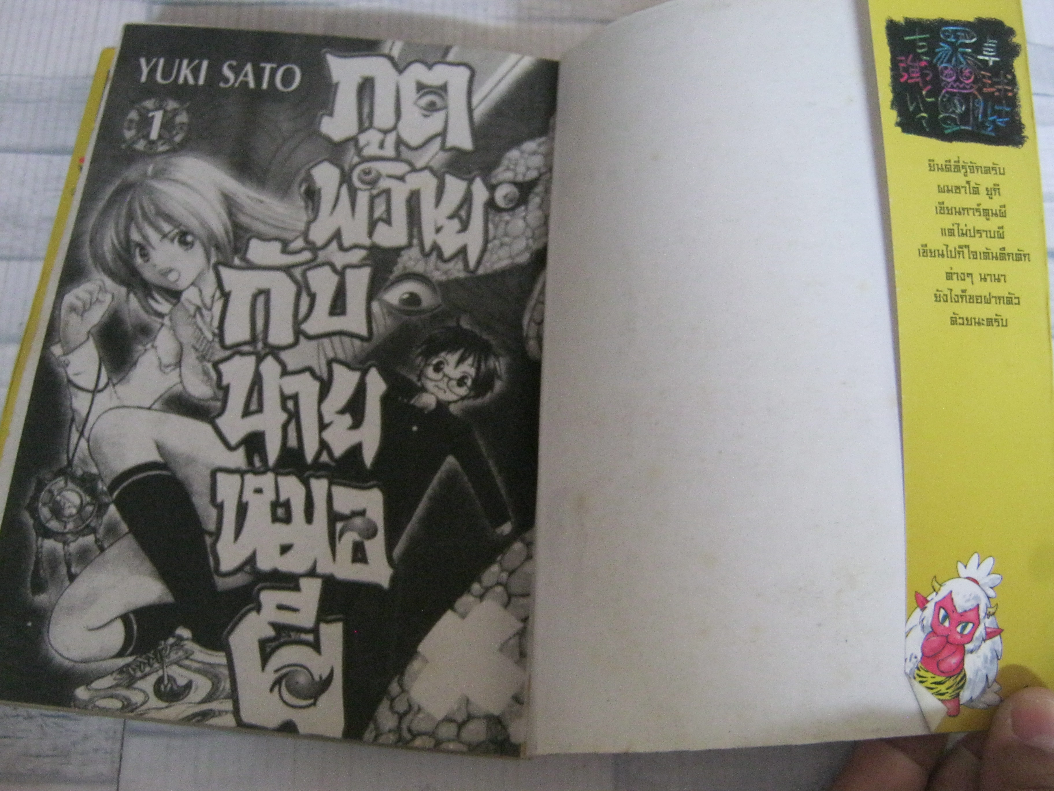 ภูตพรายกับนายหมอผี ชุด เล่ม 1-15 ( ขาดเล่ม 11 ) 15 เล่มจบ Yuki Sato เขียน