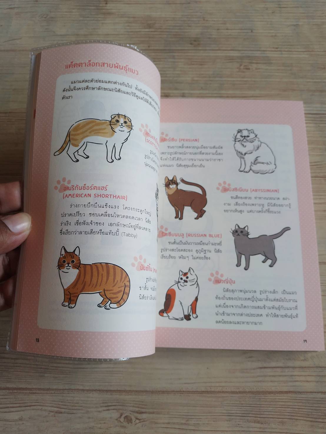 รู้ใจแมว อิโต มิทสึเอะและวาตานาเบะ เซโกะ เขียน มัทสึนางะ คิโยมิ ภาพ อนิษา เกมเผ่าพันธ์ แปล***สินค้าหมด***