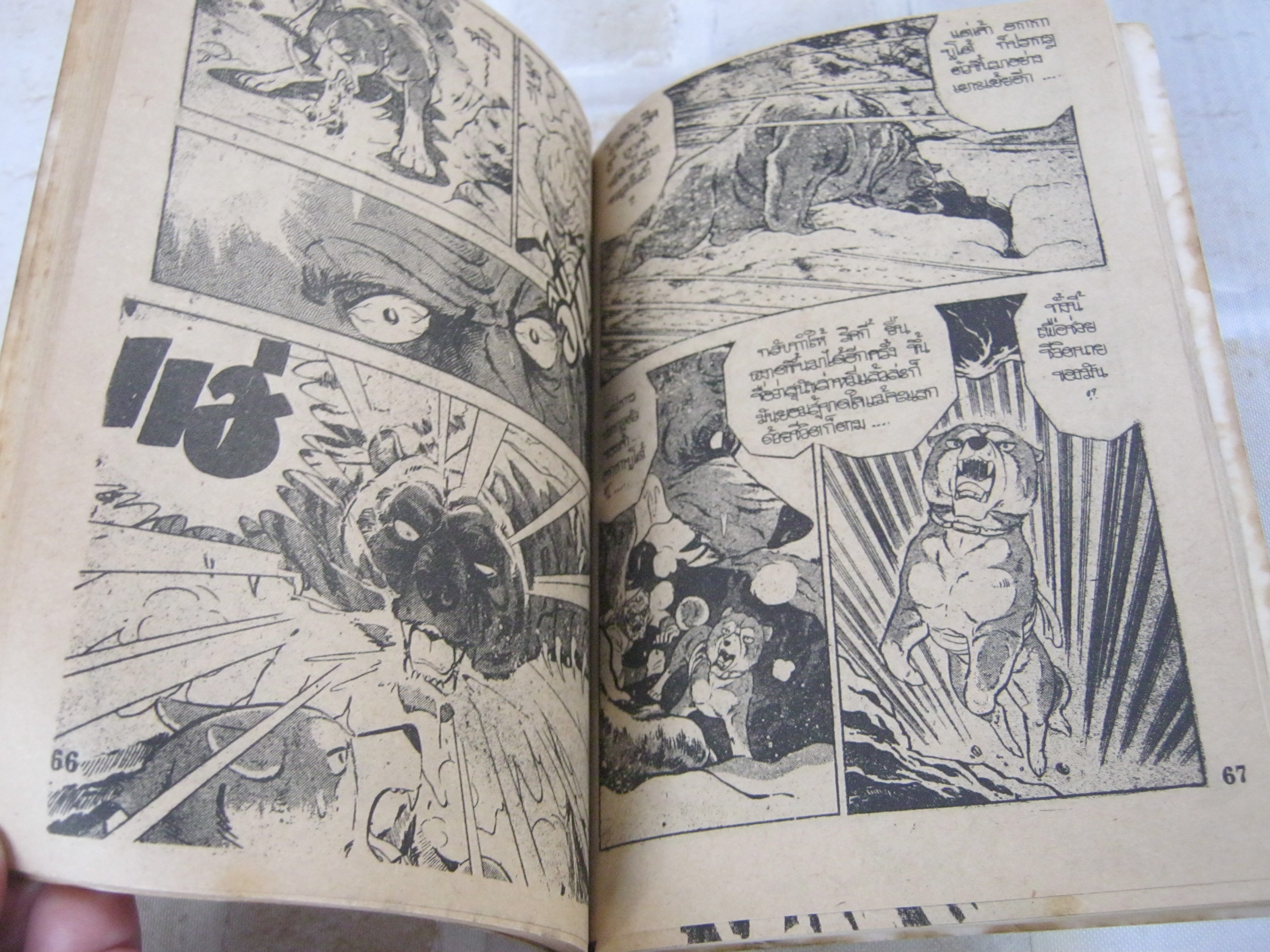 ไอ้เขี้ยวเงิน เล่ม 1 ฉบับย้อนต้น ชุดแรก 6 เล่มจบ