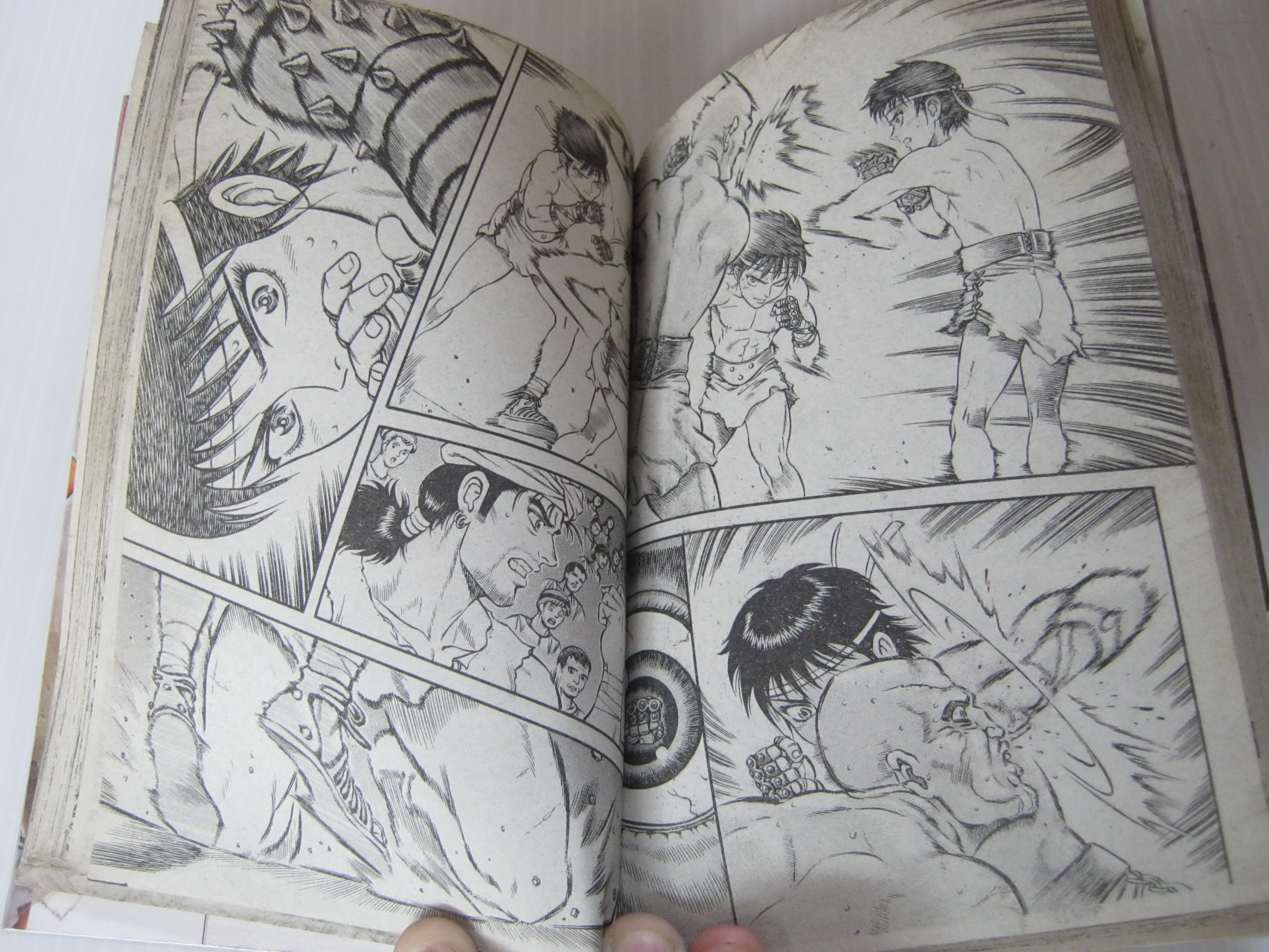 จอมหมัดสนับเหล็กเซสทัส ครบชุด 15 เล่มจบ ชิซึยะ วาซาไร เขียน