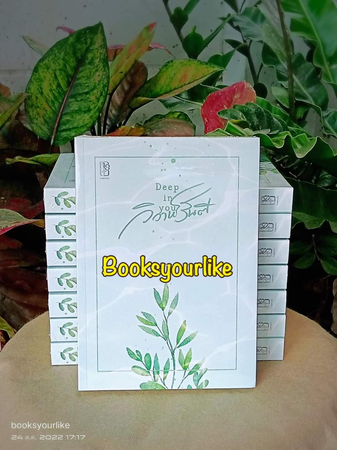 ส่งฟรี,วิวาห์รันตี Deep in you ,ผู้แต่ง,ฬีรดา, Leerada,นิยายรักทำมือ สนุกแนะนำค่ะ