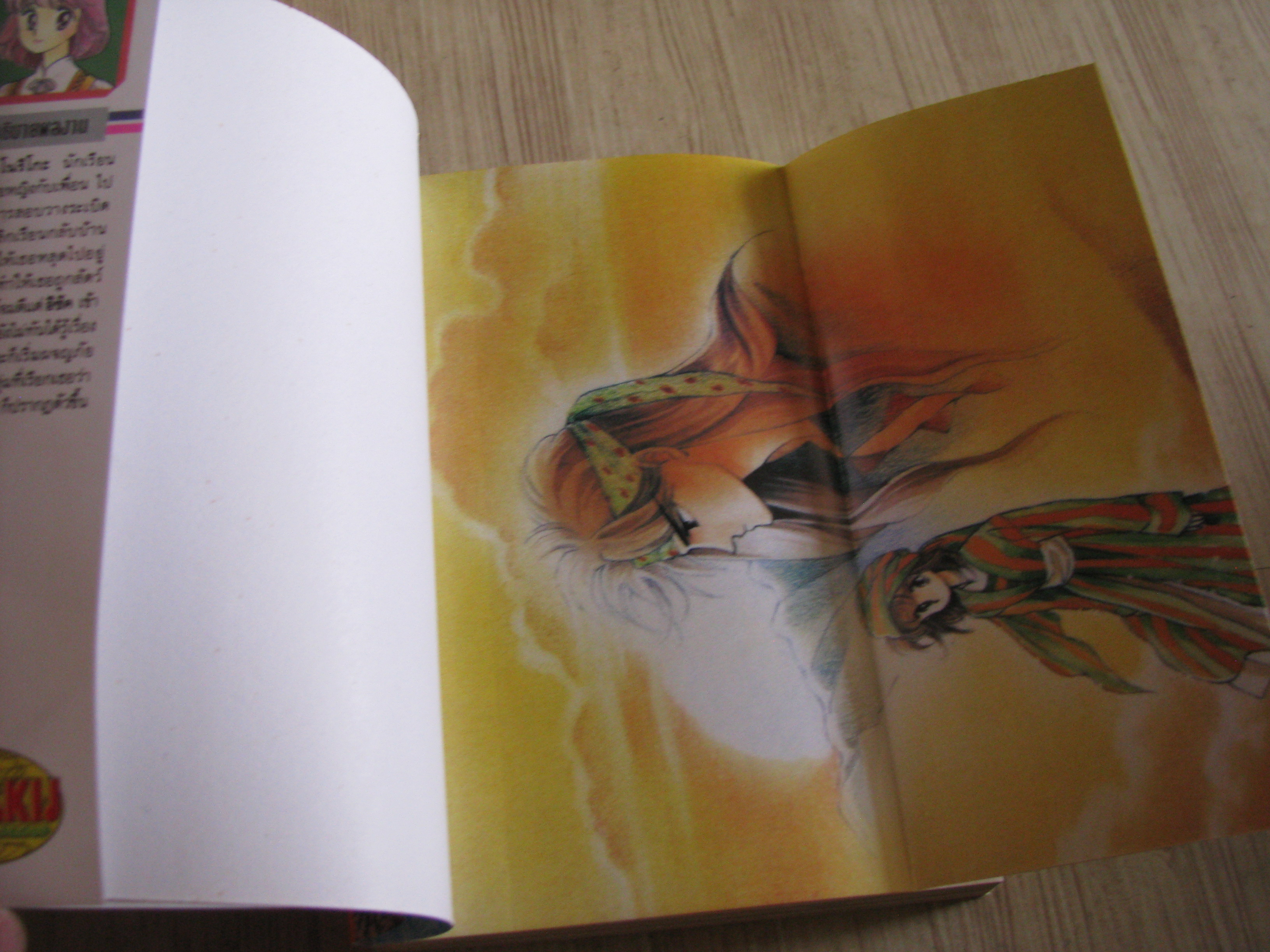 จอมคนแดนฝัน ครบชุด 14 เล่มจบ เคียวโกะ อิคาวะ เขียน (สภาพหนังสือบ้าน)