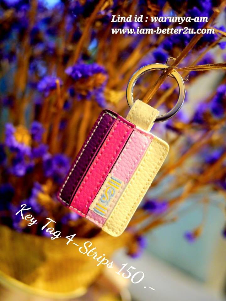 Key Tag รุ่น 4-Strips