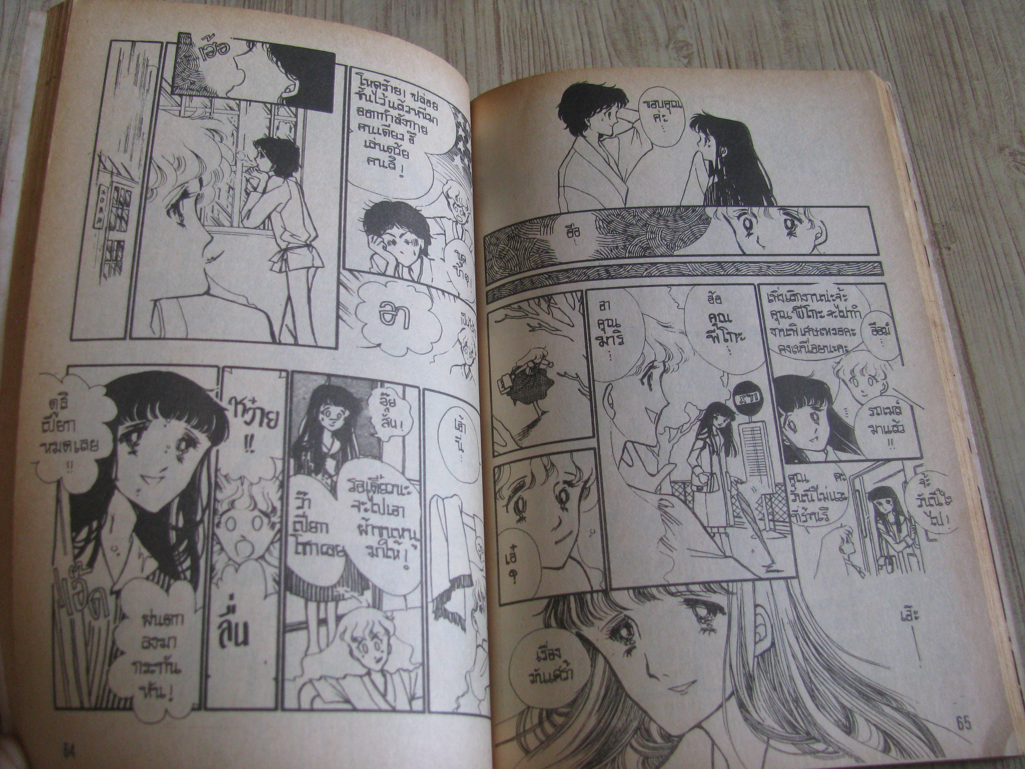 พยายามเข้านะพีโกะ เล่มเดีนวจบ