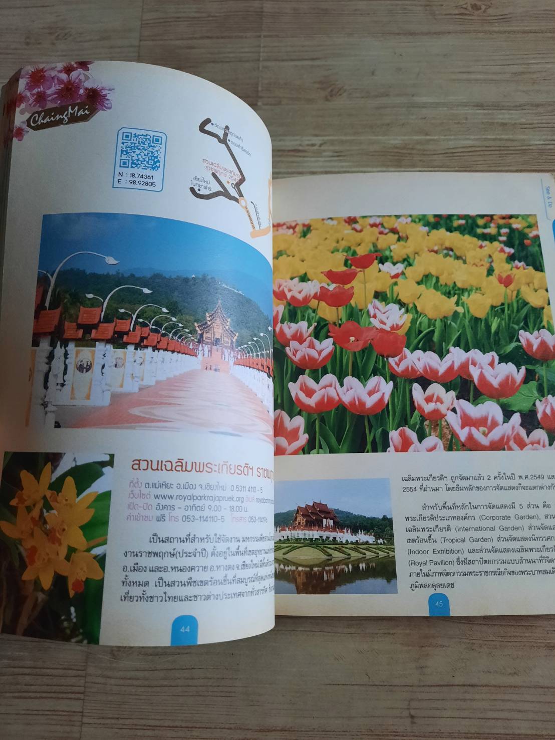 Best of เชียงใหม่ พัก เที่ยว กิน ช้อป