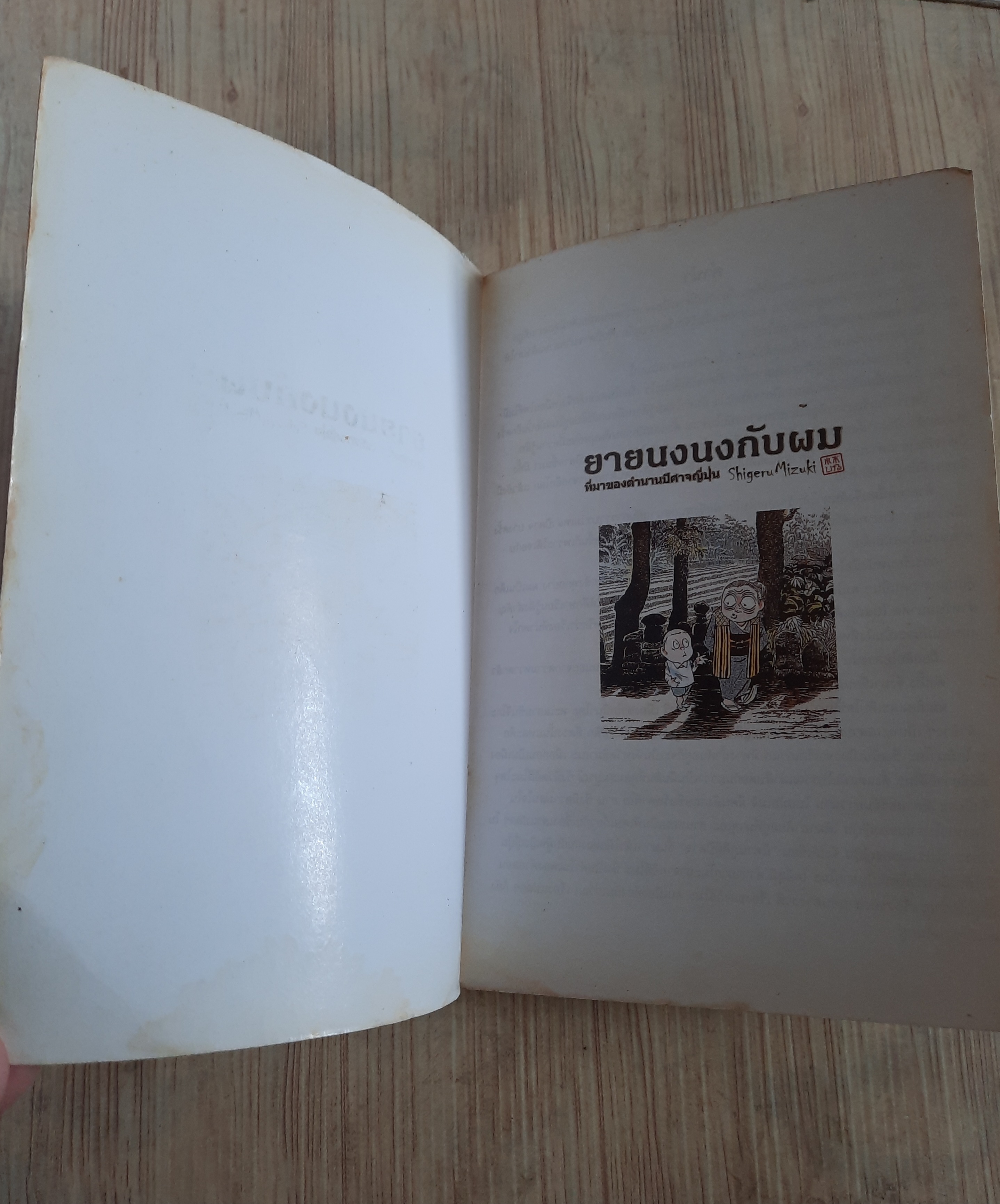 ยายนงนงกับผม เล่มเดียวจบ***สินค้าหมด***