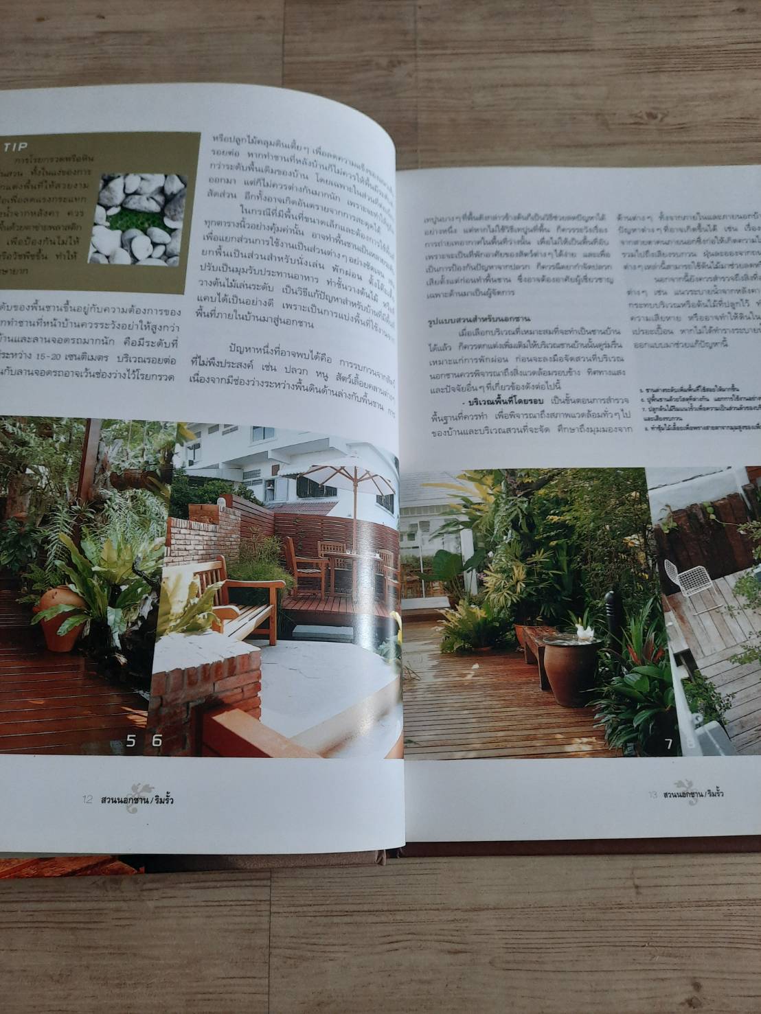 สวนในบ้าน เล่ม 17 สวนนอกชาน / ริมรั้ว พิมพ์ครั้งที่ 6 โดย กองบรรณาธิการสำนักพิมพ์บ้านและสวน