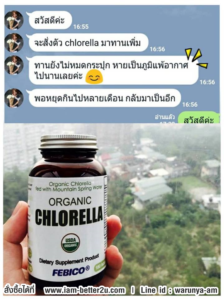 อาหารเสริม สาหร่าย คลอเรลล่า ช่วยเรื่องโรคภูมิแพ้