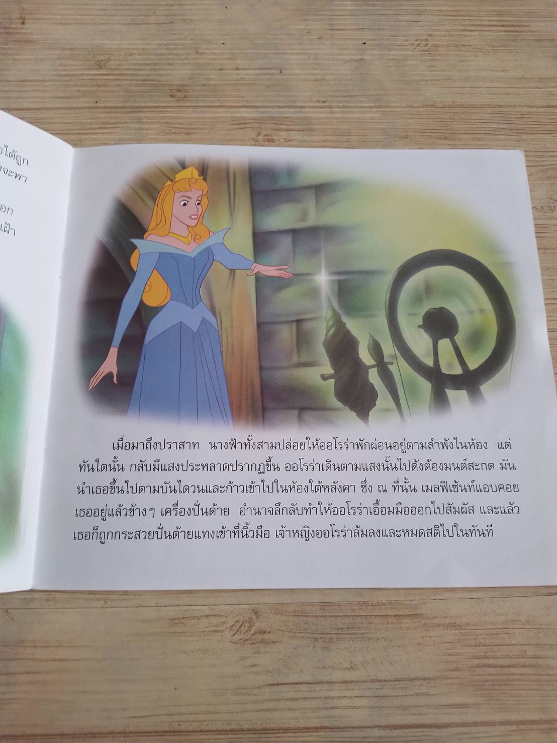 เจ้าหญิงนิทรา ป้าเหน่ง แปล***สินค้าหมด***