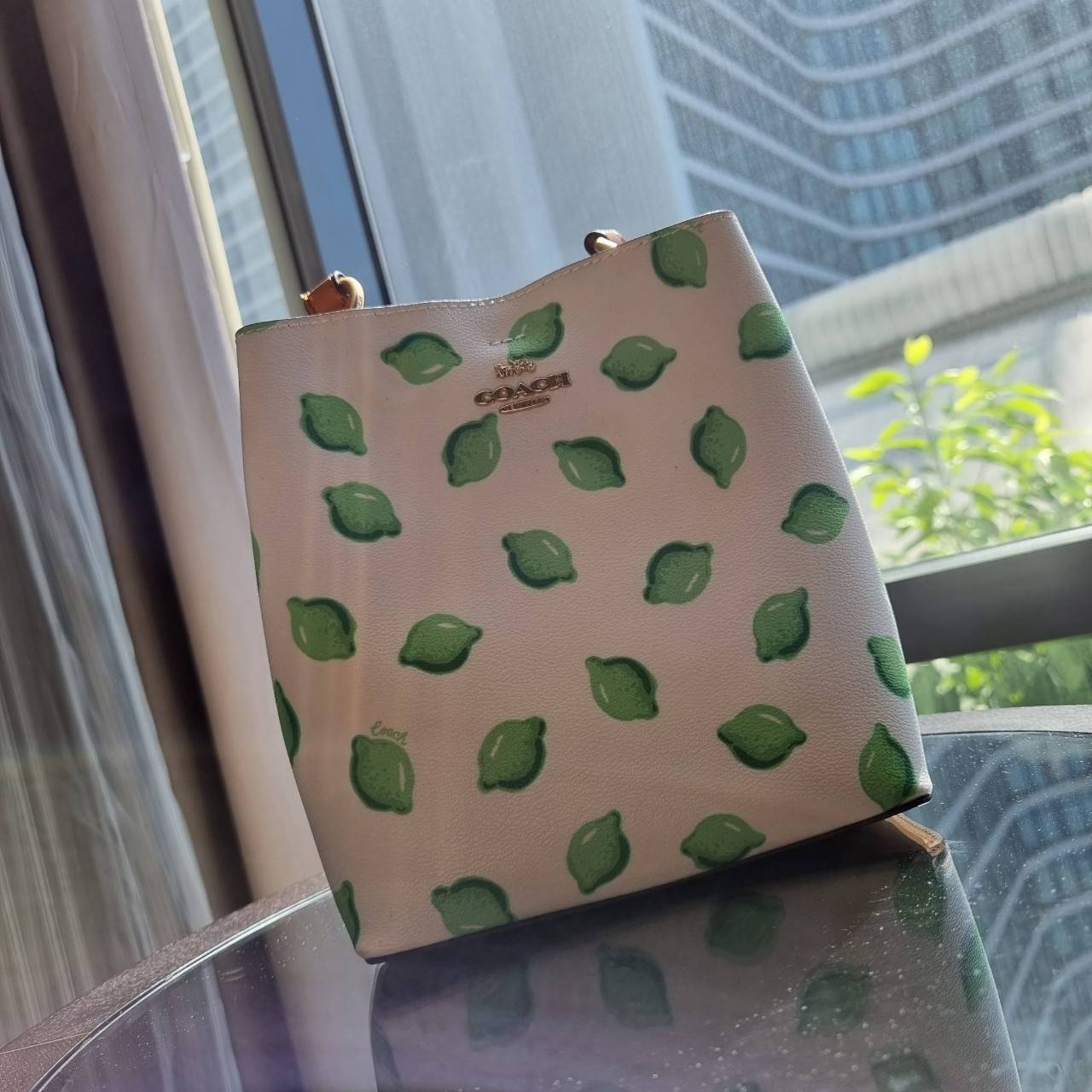 OUTTLET 】COACH 1625 SMALL TOWN BUCKET BAG WITH LIME PRINT ต้อนรับปีใหม่ด้วยความสดใส กับรุ่นยอดนิยม กระเป๋าทรงบัคเก็ตไซส์เล็ก ดีไซน์ลวดลายจี๊ดจ๊าด น่าใช้จริงจัง วัสดุหนังแคนวาสเคลือบลาย สวยคมแซ่บมากๆ เปิด-ปิดด้วยกระดุมแม่เหล็กทั้ง 2 ฝั่ง ภายในเป็นช่องโล่ง 