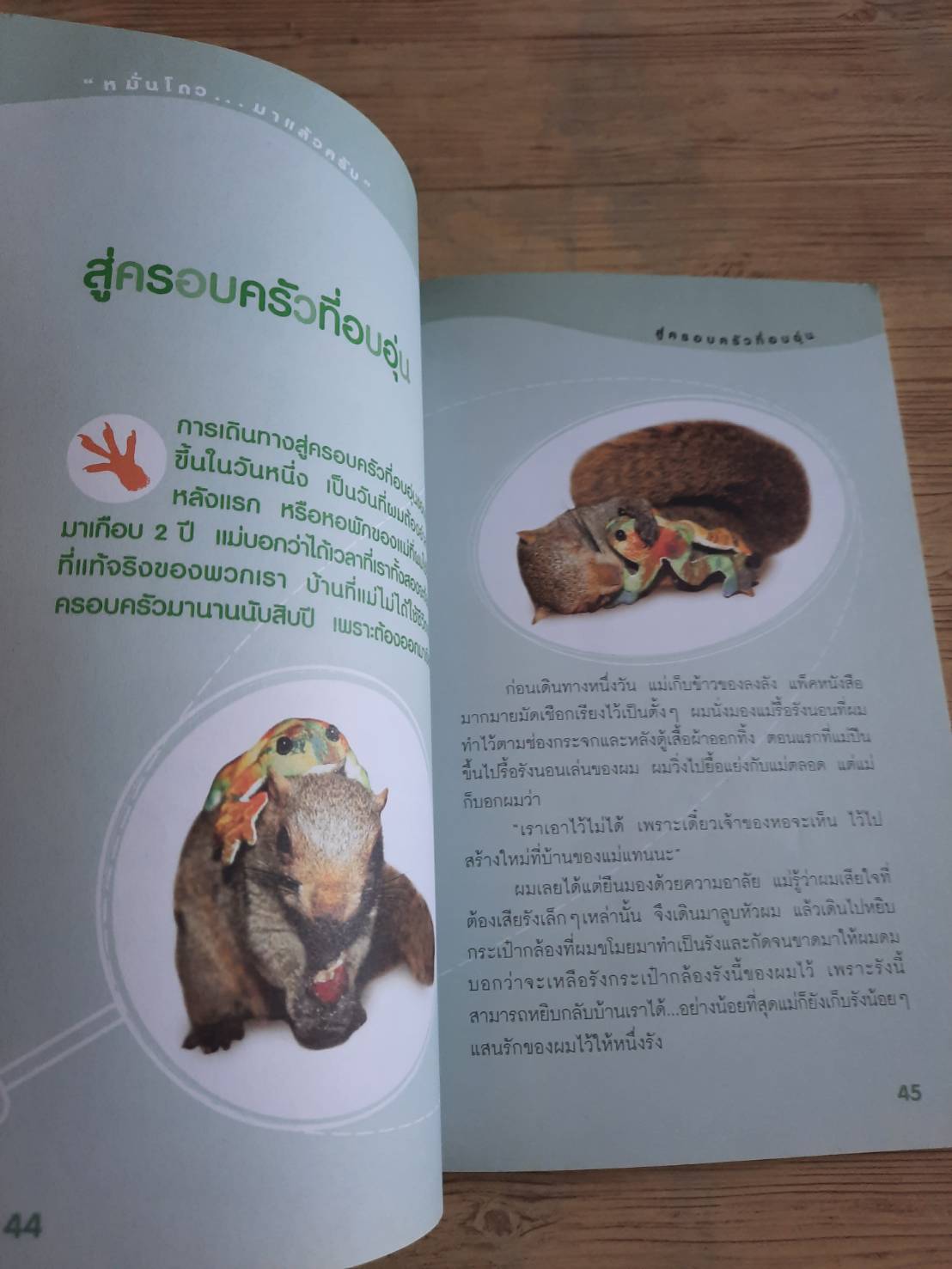 หมั่นโถว...มาแล้วครับ เริงฤทัย อุดมศิลป์ เรื่องและภาพ