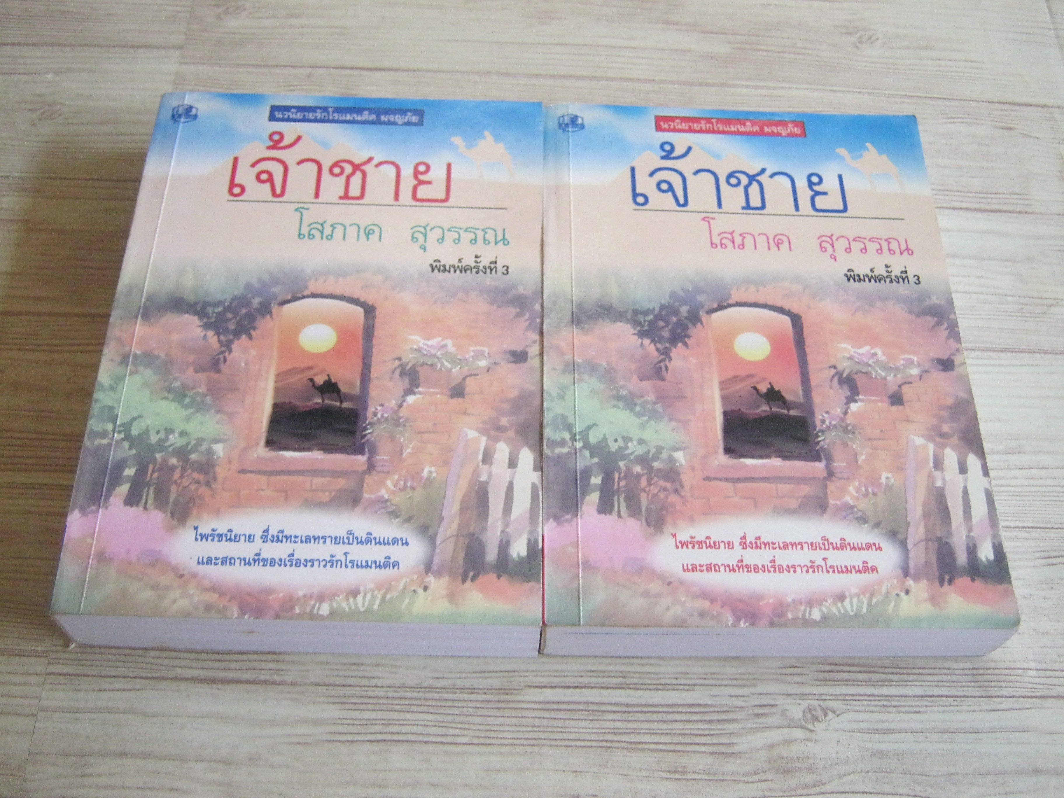 เจ้าชาย 2 เล่มจบชุด พิมพ์ครั้งที่ 3 โสภาค สุวรรณ เขียน***สินค้าหมด***