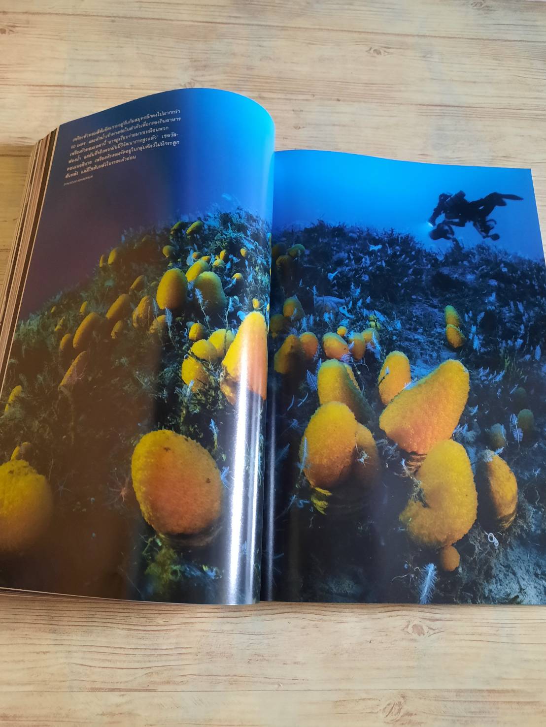 NATIONAL GEOGRAPHIC ฉบับภาษาไทย กรกฎาคม 2560 จับโกหก***สินค้าหมด***