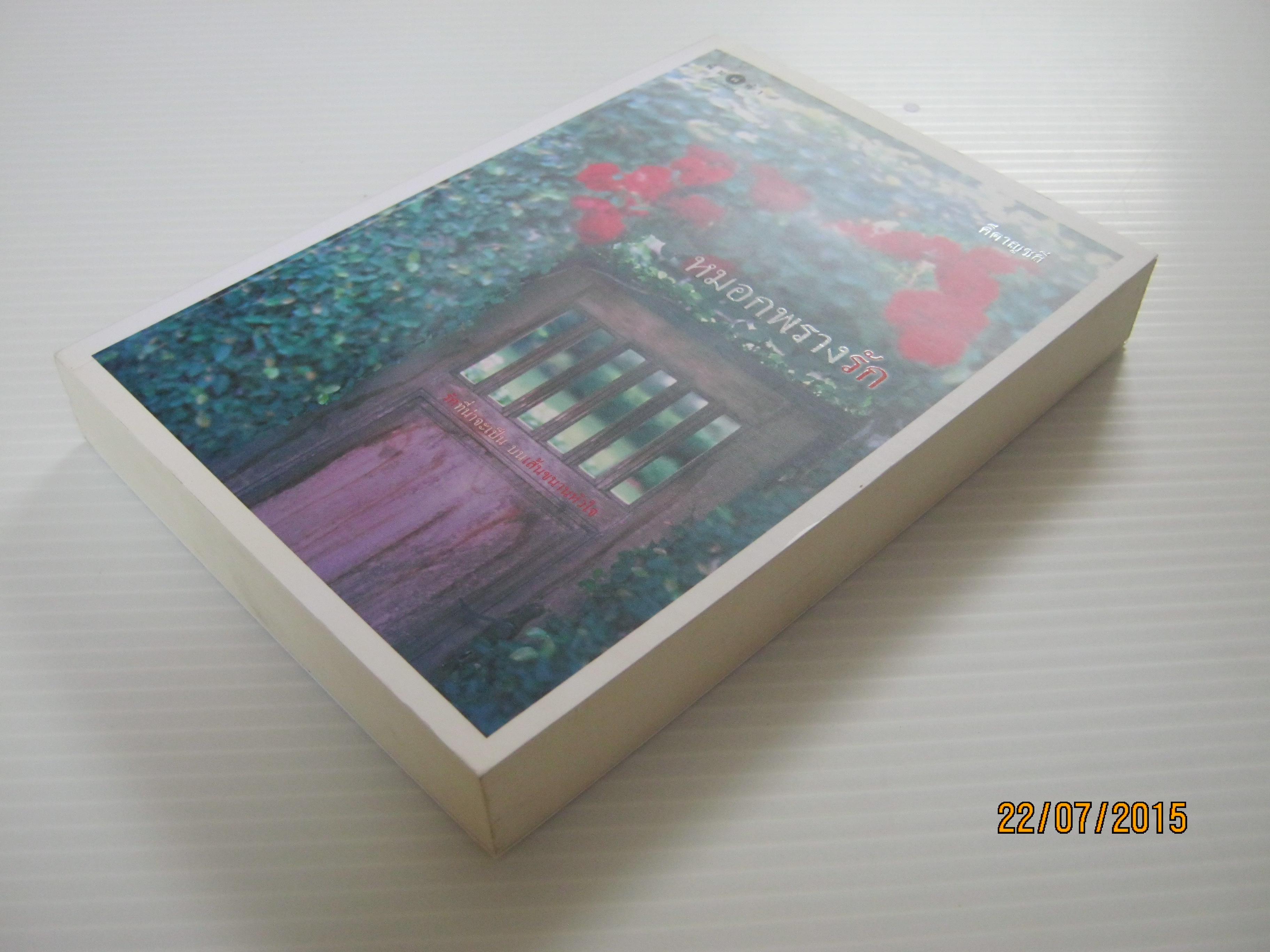 หมอกพรางรัก คีตาญชลี เขียน