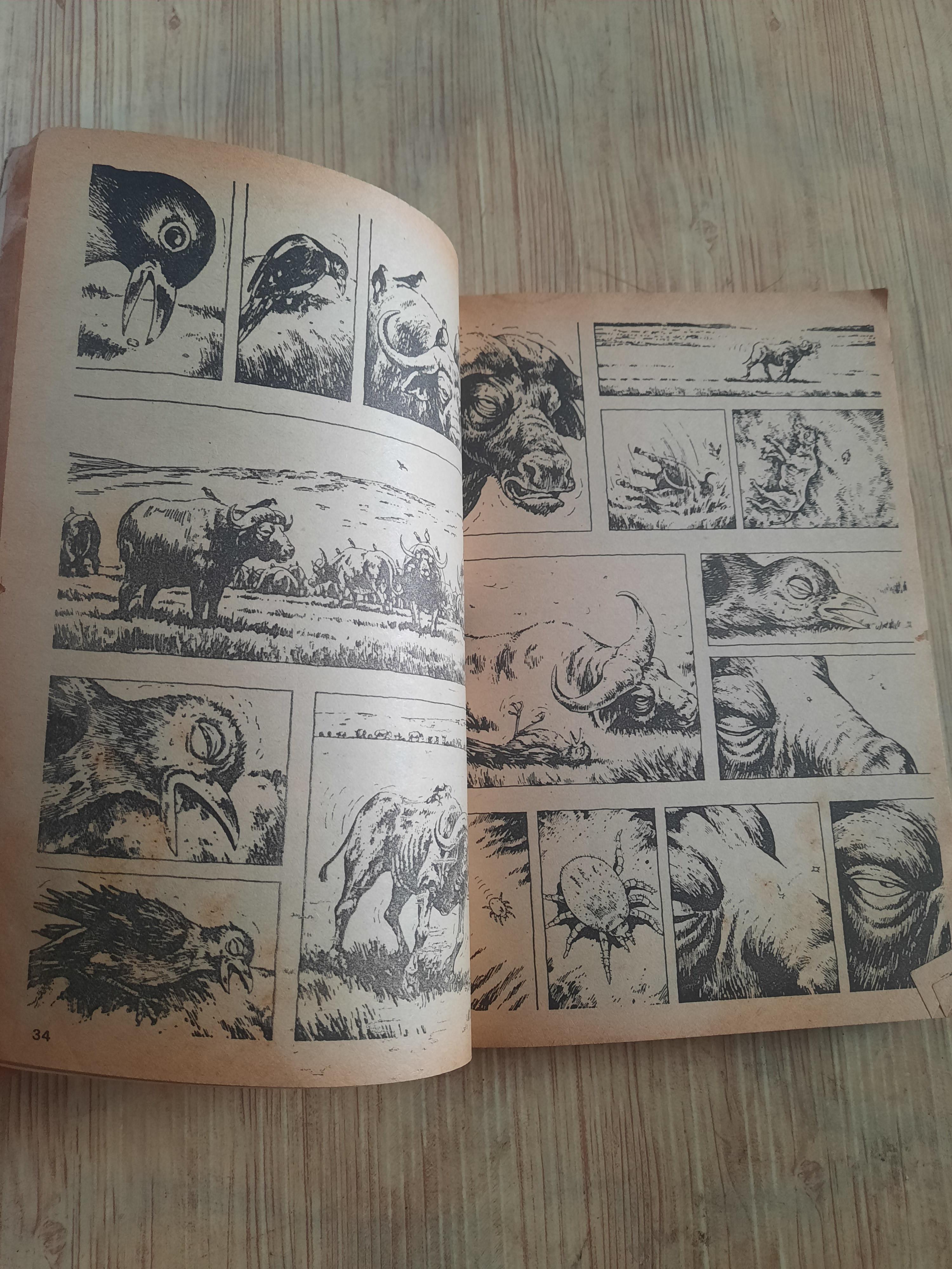 GON เล่มเดียวจบ