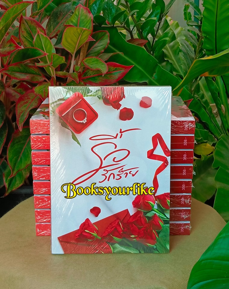 รื้อรักร้ายเพิ่มตอนพิเศษ ปกใหม่ ,ผู้แต่ง,อายอิน,นิยายรักทำมือ